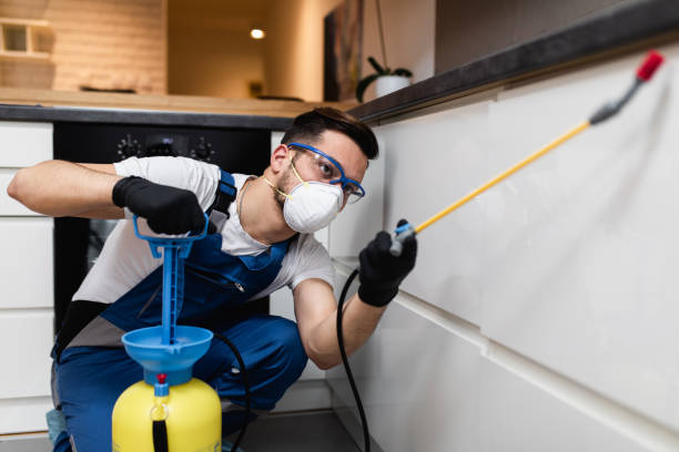 Best Mosquito Control Services  in Independence, IA