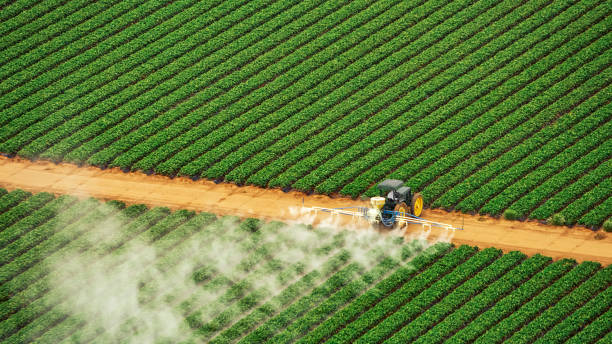 Best Pest Control for Homes  in Independence, IA