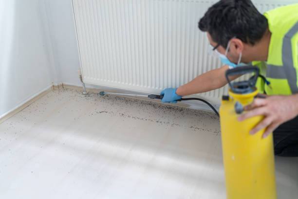 Best Emergency Pest Control  in Independence, IA