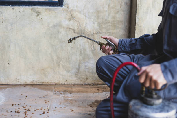 Best Best Pest Control Companies  in Independence, IA